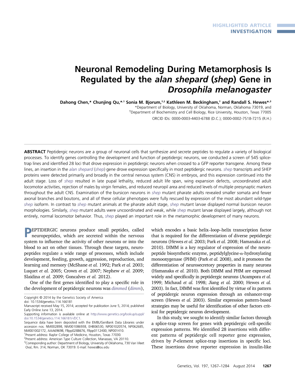 Neuronal Remodeling During Metamorphosis Is Regulated by the Alan Shepard (Shep) Gene in Drosophila Melanogaster