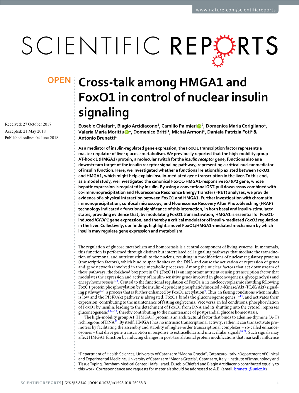 Cross-Talk Among HMGA1 and Foxo1 in Control of Nuclear Insulin Signaling