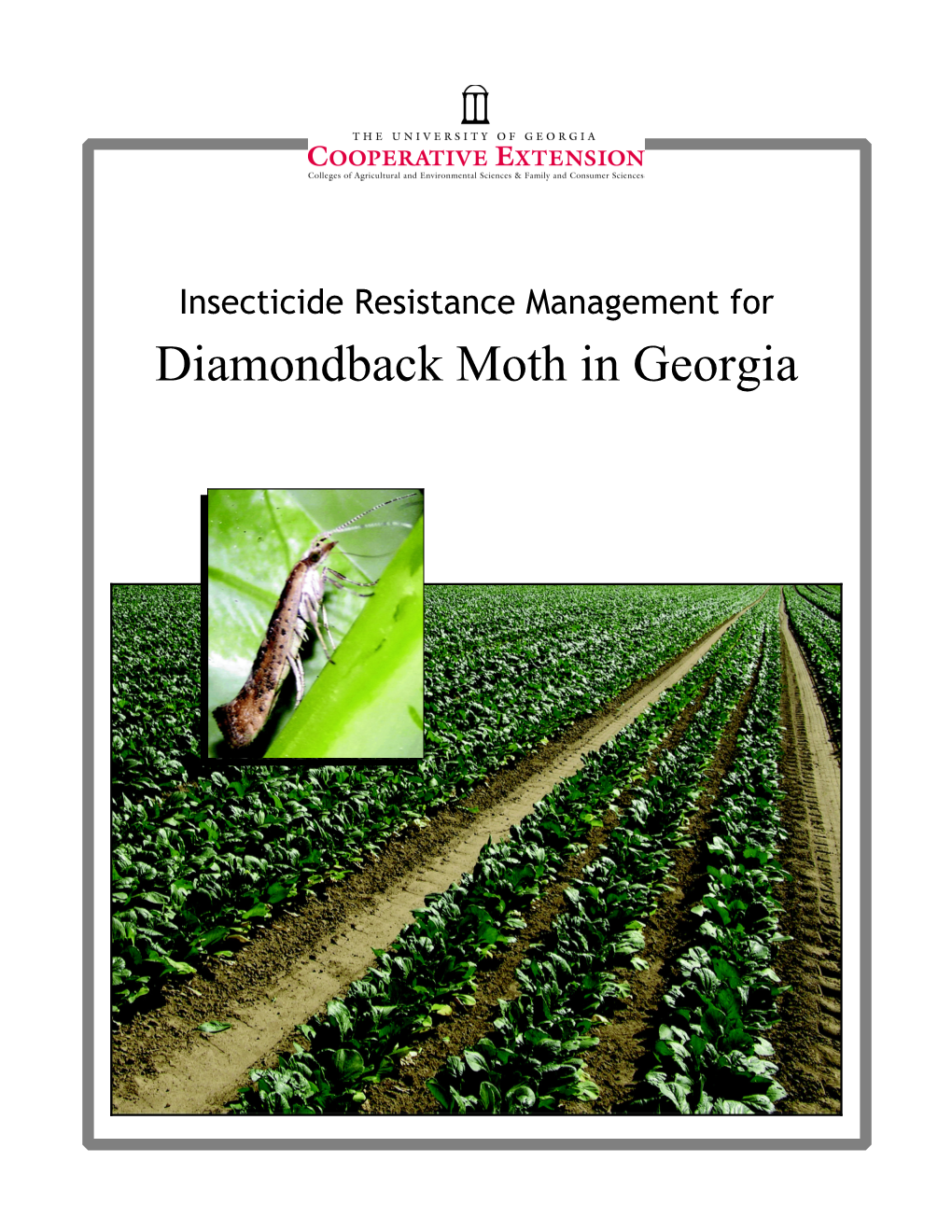 Insecticide Resistance Management for Diamondback Moth in Georgia Contents