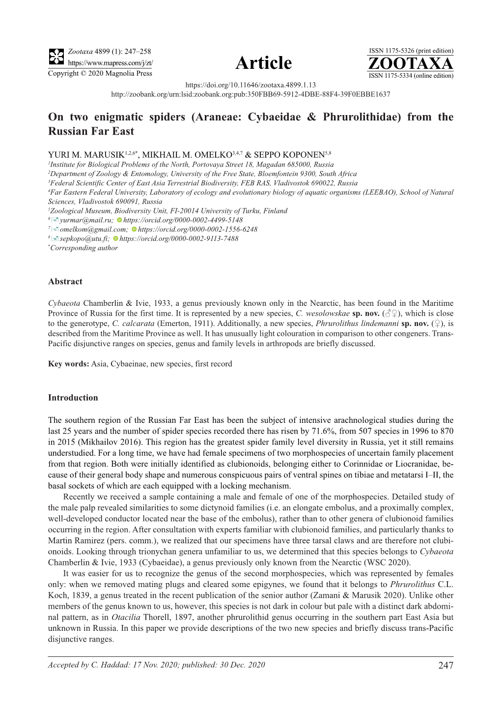 (Araneae: Cybaeidae & Phrurolithidae) from the Russian Far East