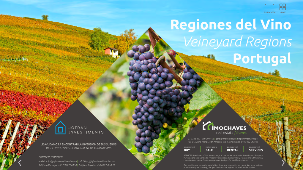 Regiones Del Vino Veineyard Regions Portugal