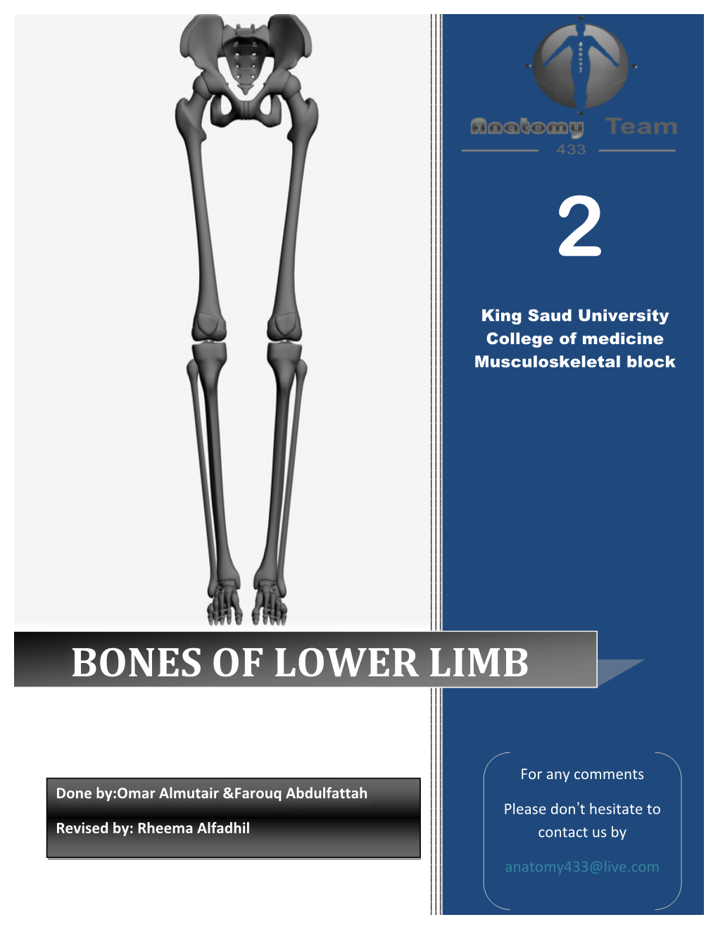 Bones of Lower Limb