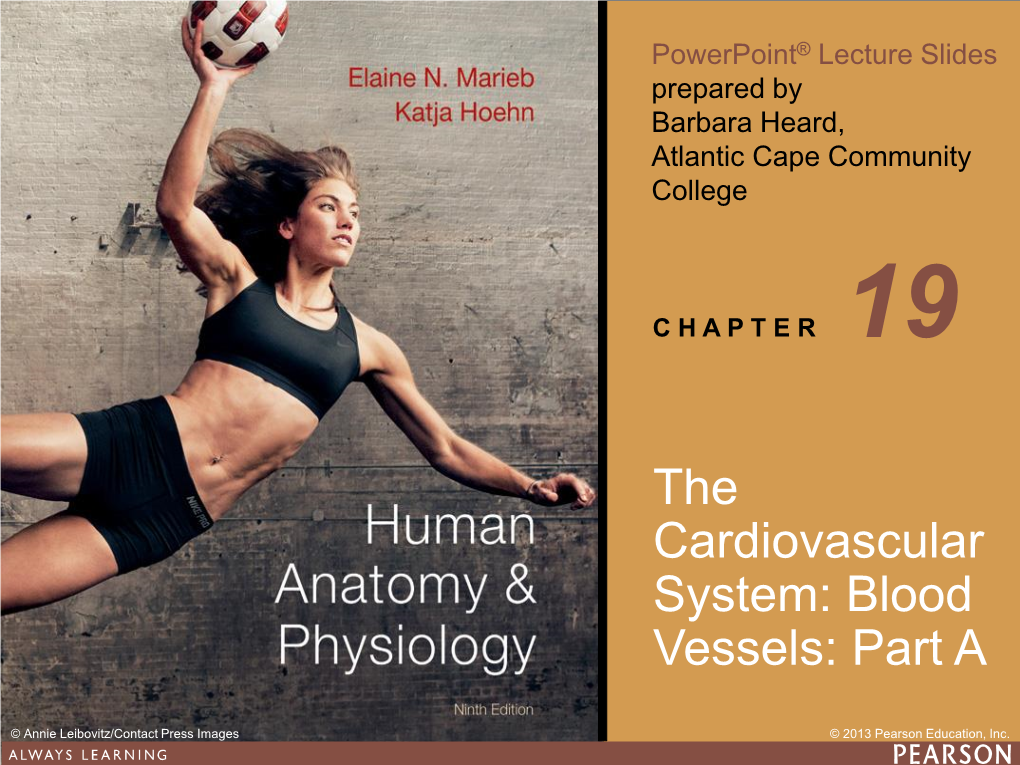 Human Anatomy & Physiology