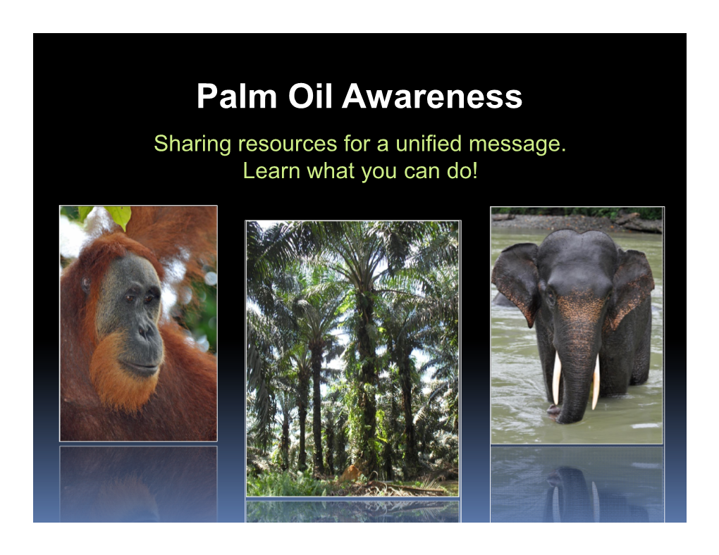 Palm Oil Awareness Sharing Resources for a Unified Message