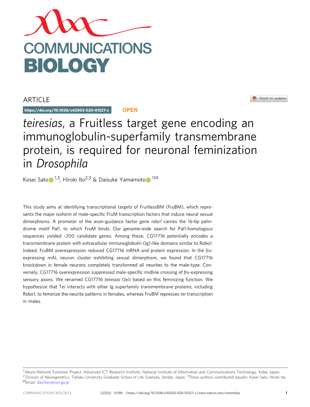 Teiresias, a Fruitless Target Gene Encoding an Immunoglobulin