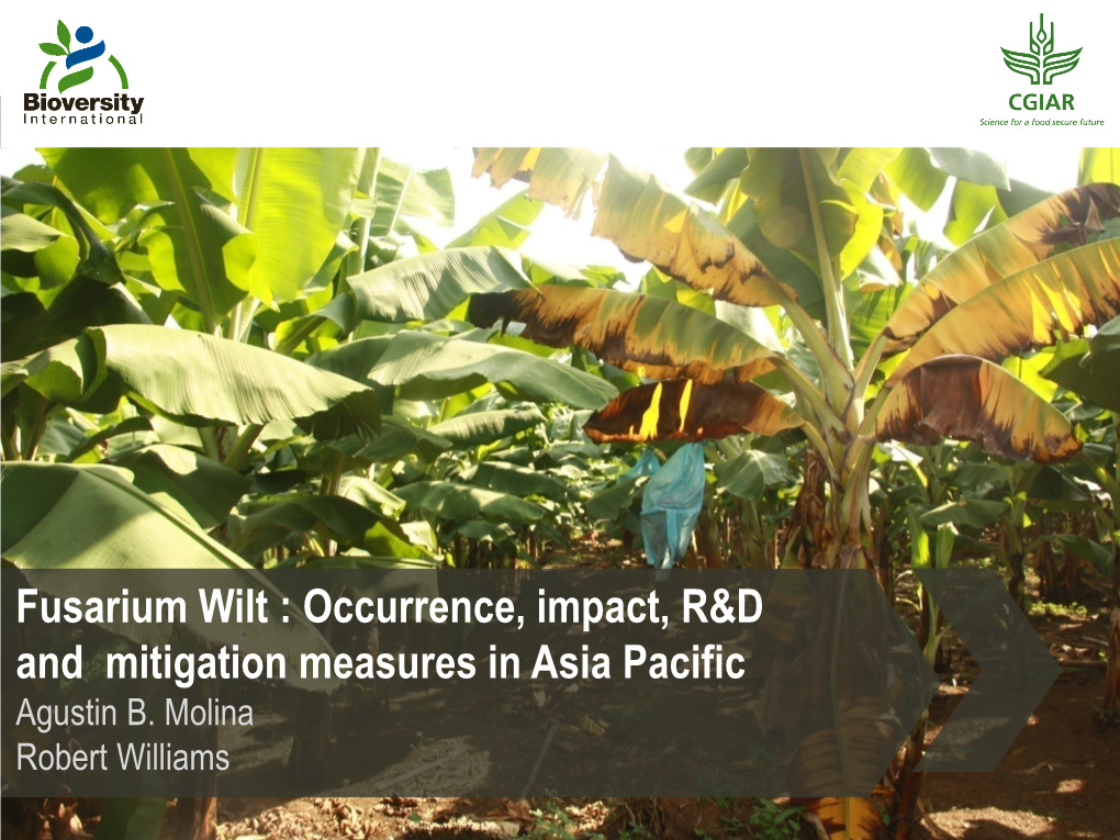 Fusarium Wilt : Occurrence, Impact, R&D and Mitigation Measures in Asia Pacific