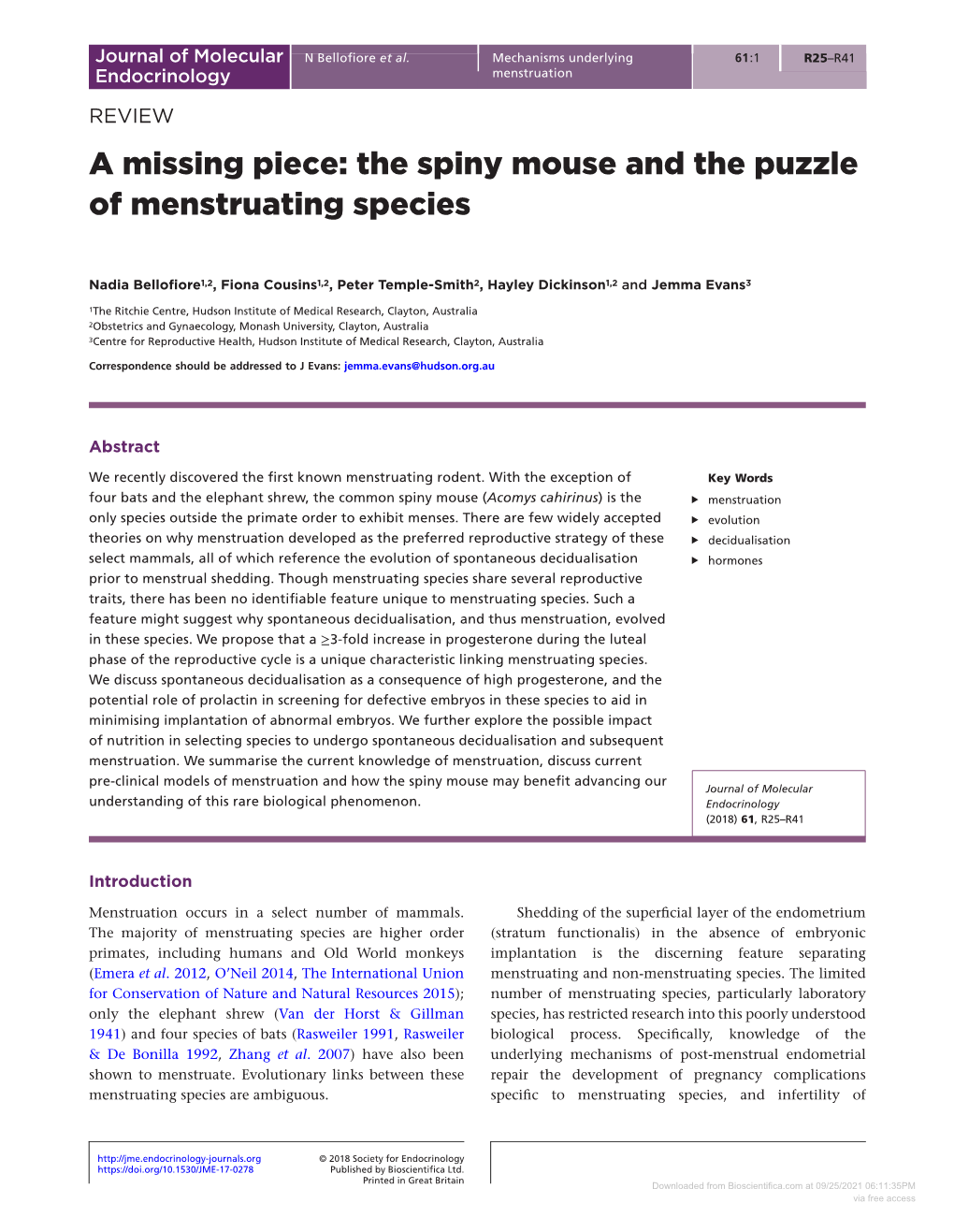 The Spiny Mouse and the Puzzle of Menstruating Species