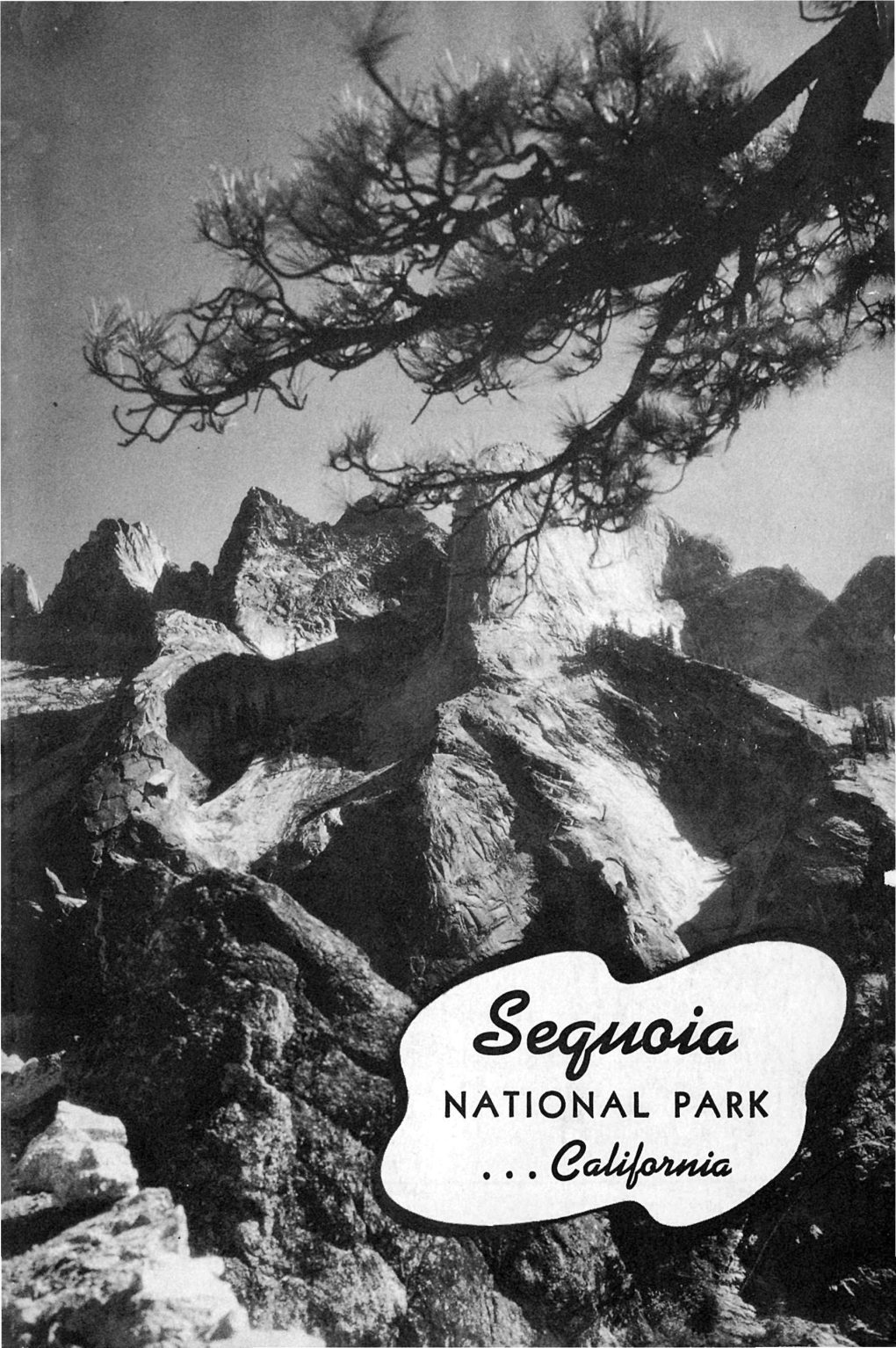 NATIONAL PARK UNITED STATES Historic Events Sequoia DEPARTMENT of the 1858 Giant Forest Discovered by Hale INTERIOR Tharp, of Three Rivers, California