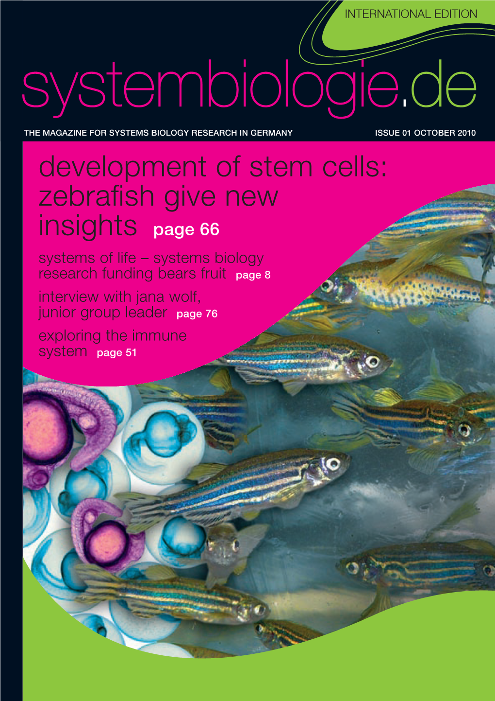 Development of Stem Cells: Zebrafish Give New Insights Page 66