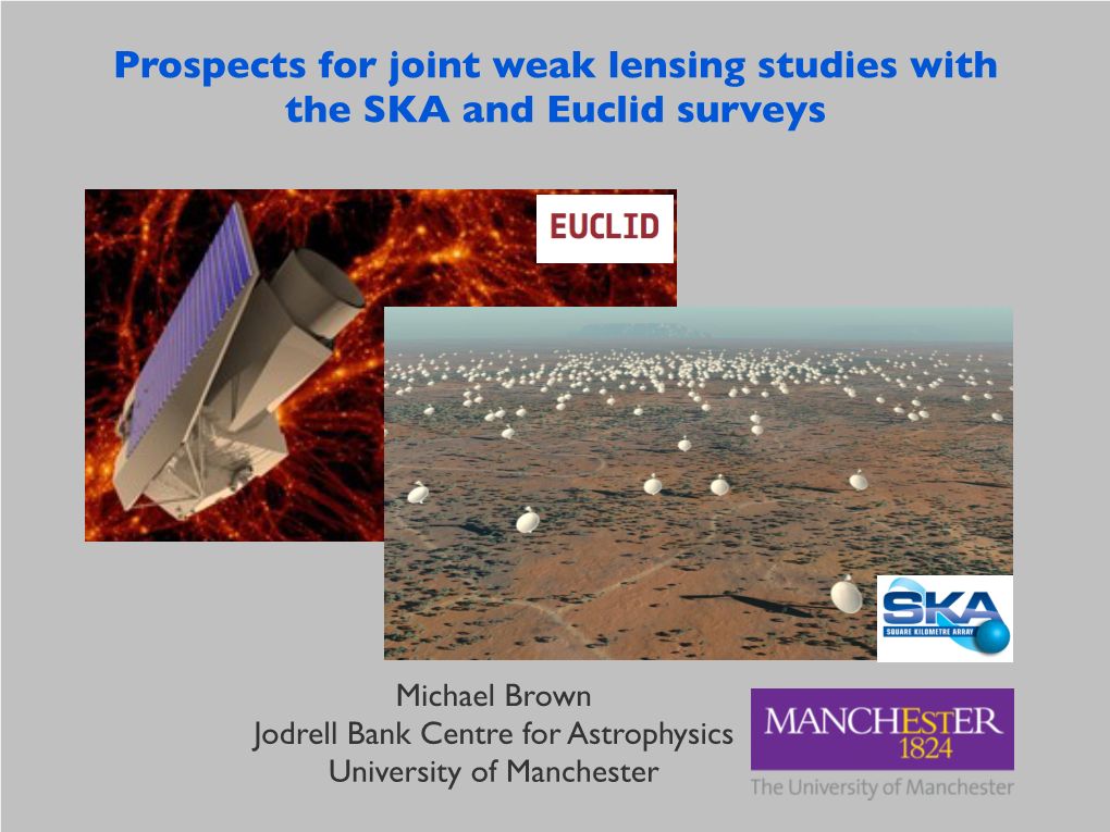 Prospects for Joint Weak Lensing Studies with the SKA and Euclid Surveys