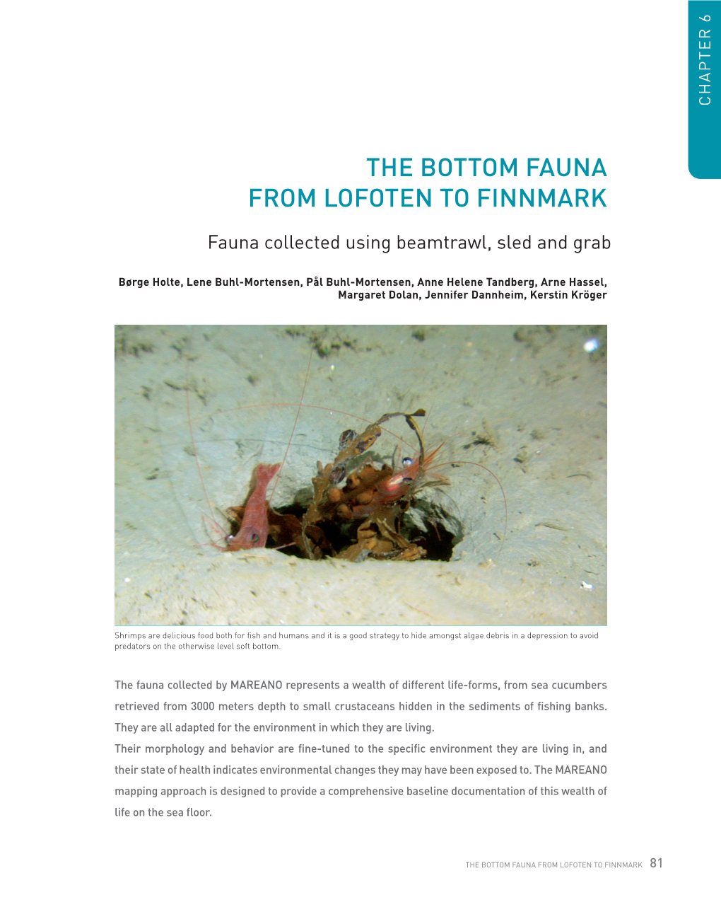 The Bottom Fauna from Lofoten to Finnmark