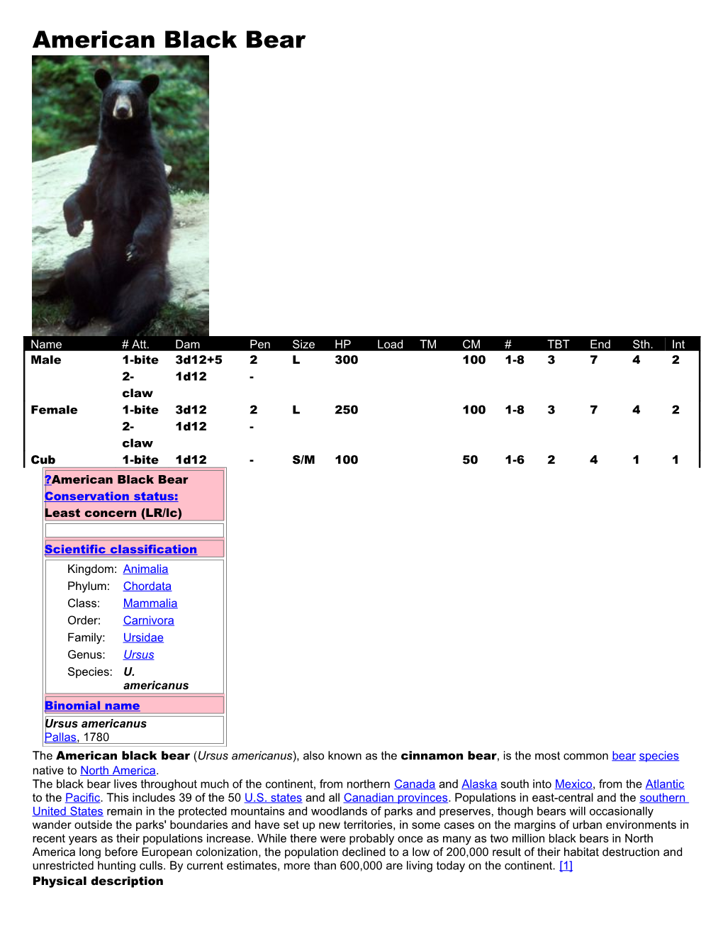 American Black Bear