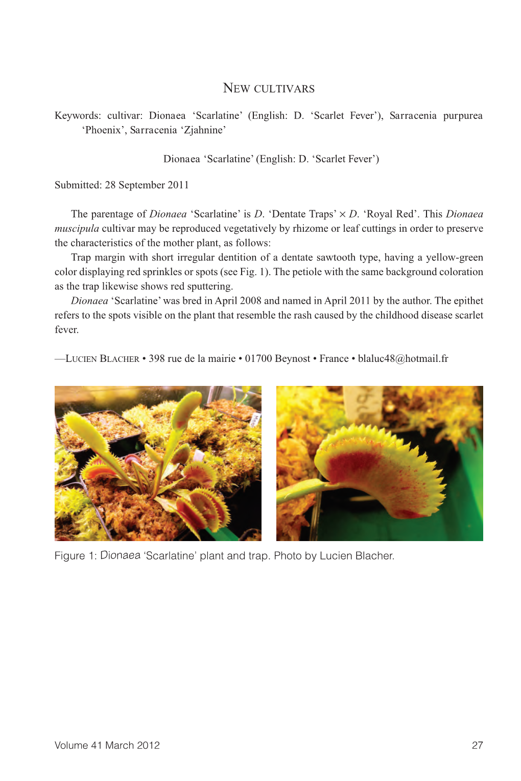 Carnivorous Plant Newsletter Vol 41 No 1 March 2012