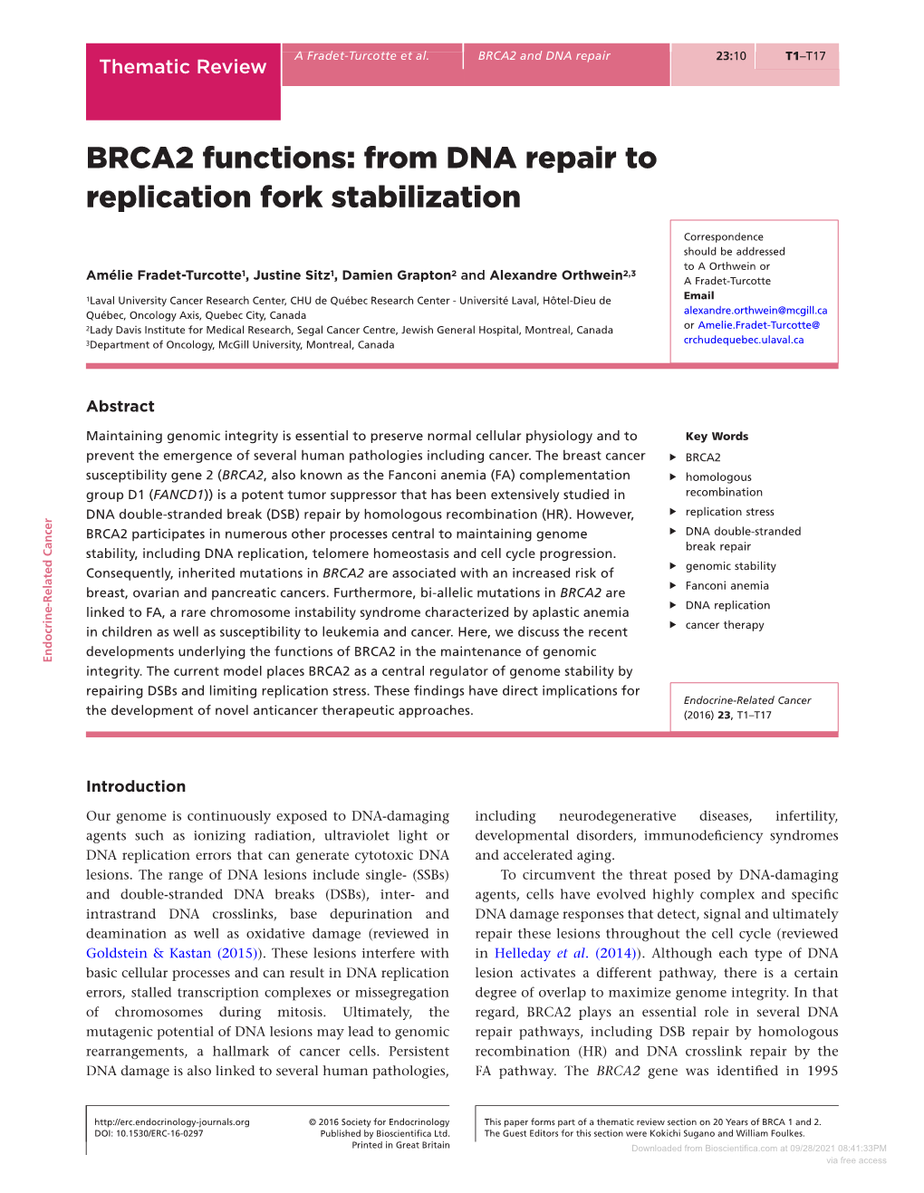 BRCA2 Functions: from DNA Repair to Replication Fork Stabilization