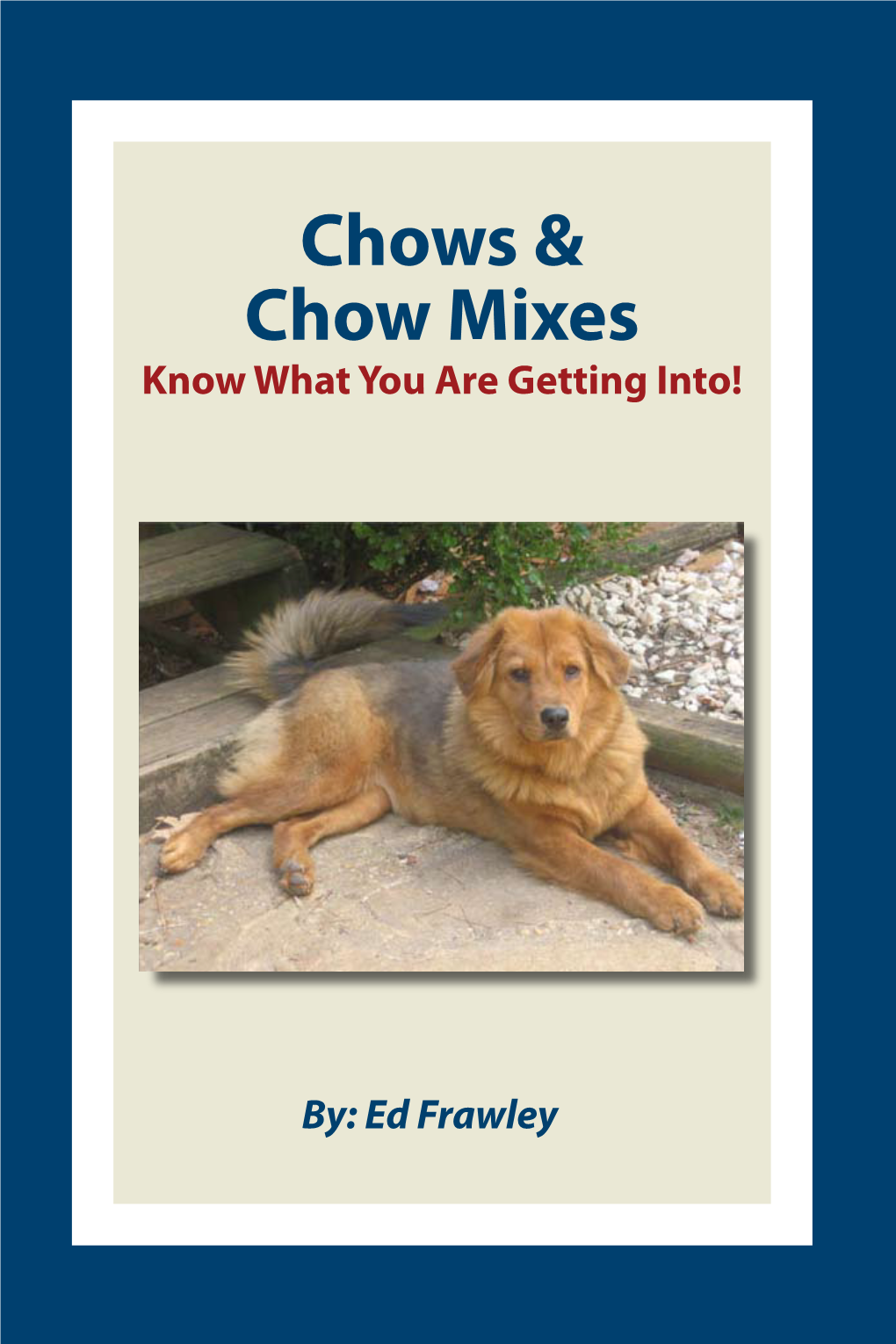 Chows & Chow Mixes