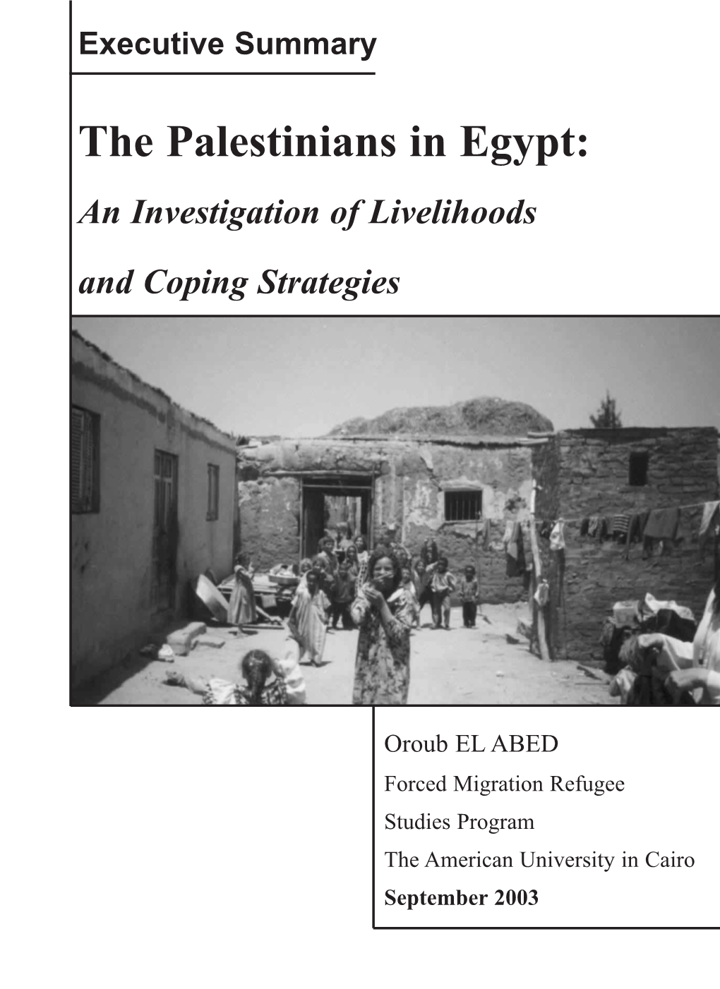The Palestinians in Egypt: an Investigation of Livelihoods and Coping Strategies