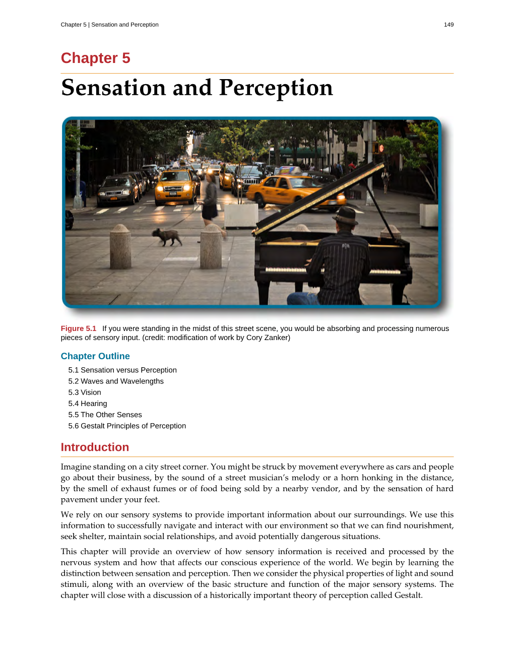 Sensation and Perception 149