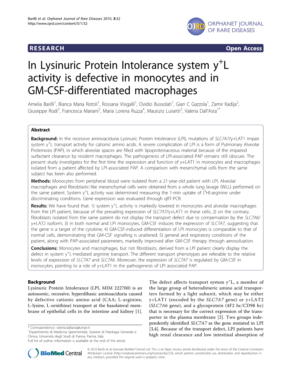 In Lysinuric Protein Intolerance System Y L Activity Is Defective In