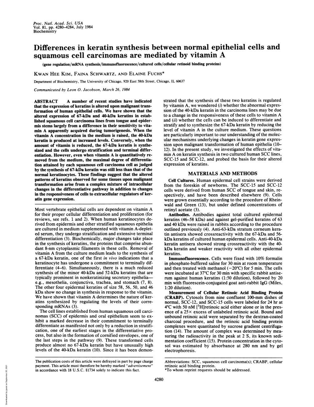 Differences in Keratin Synthesis Between Normal Epithelial Cells and Squamous Cell Carcinomas Are Mediated by Vitamin A