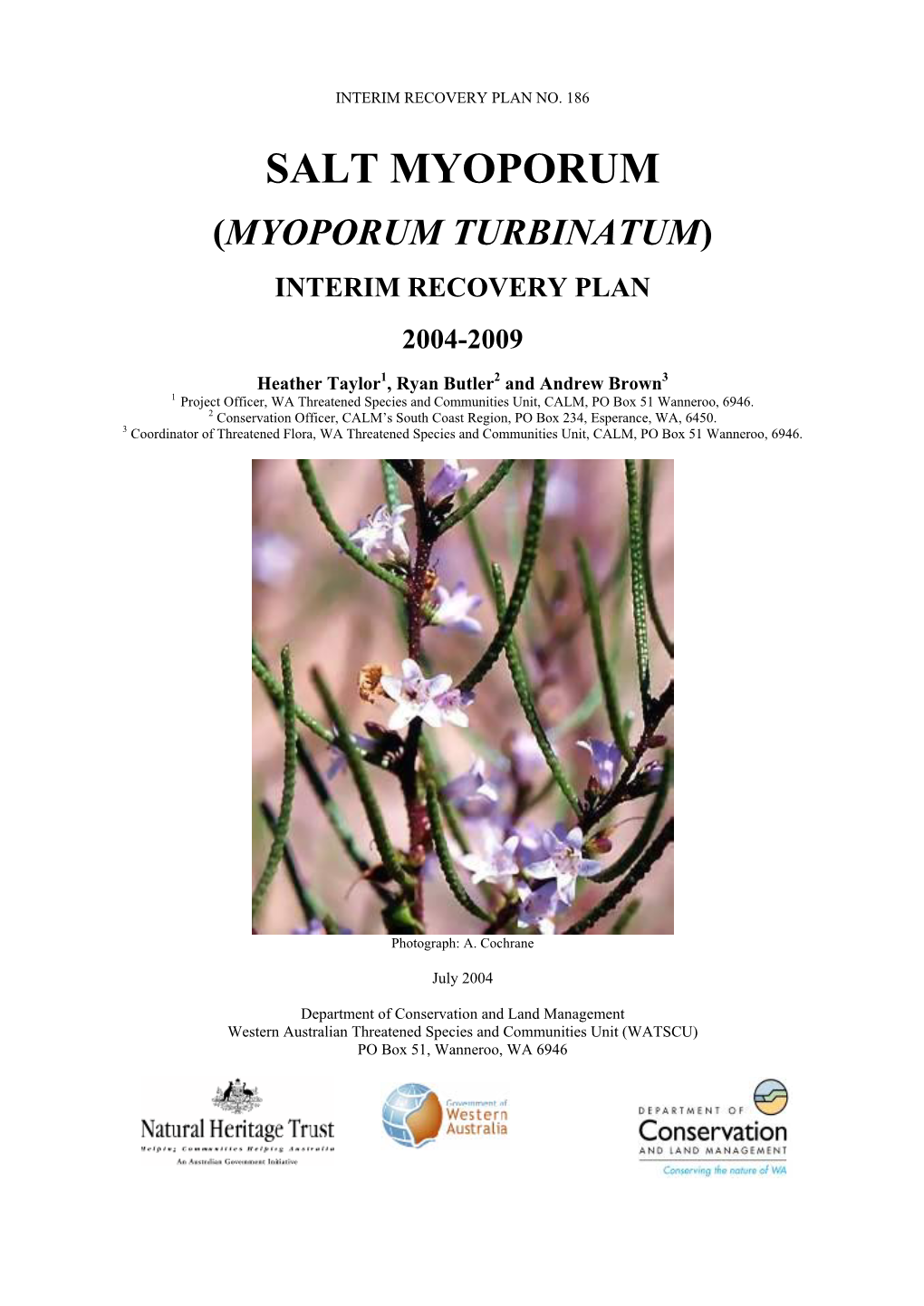Myoporum Turbinatum) Interim Recovery Plan 2004-2009