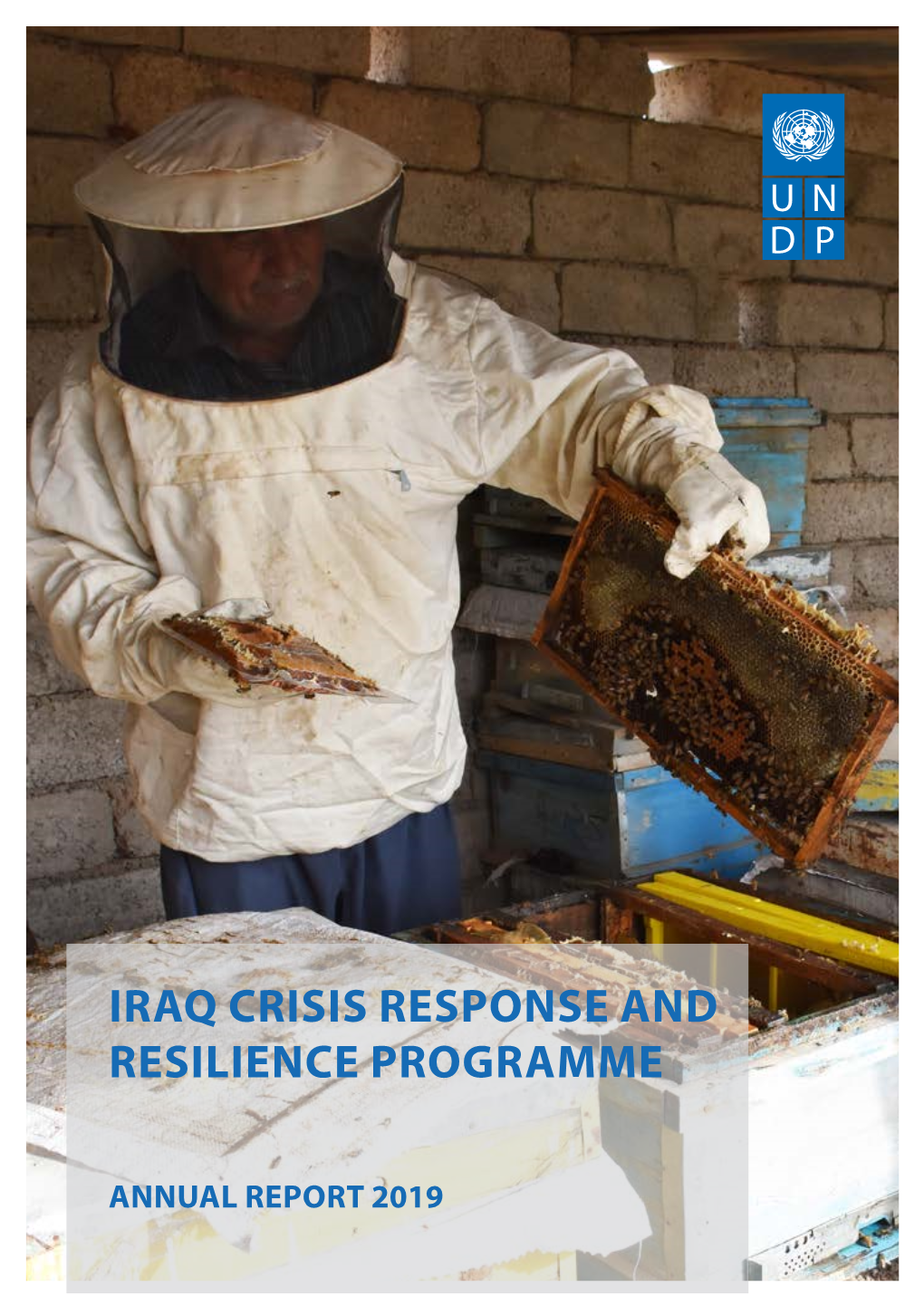 Iraq Crisis Response and Resilience Programme