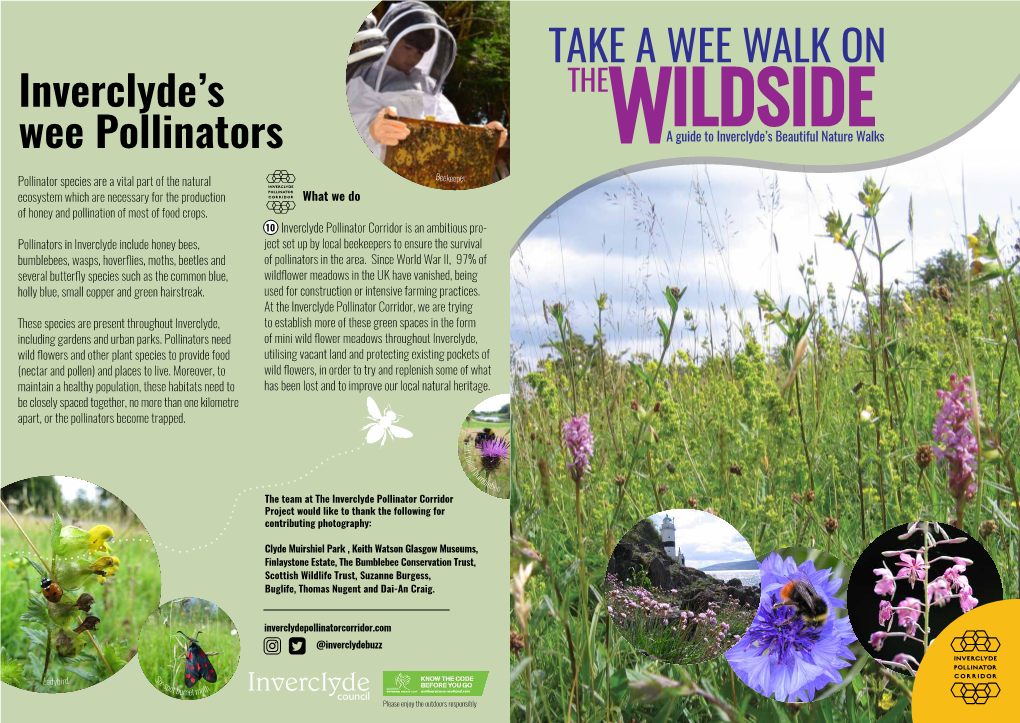 Inverclyde's Wee Pollinators