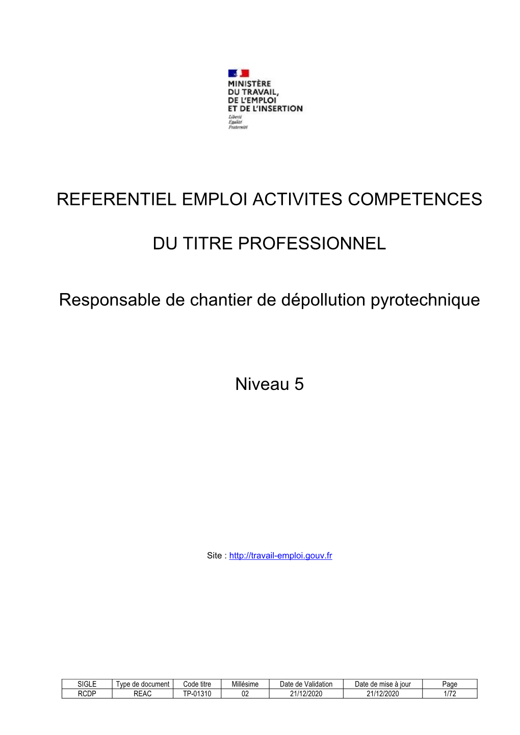 Referentiel Emploi Activites Competences Du Titre