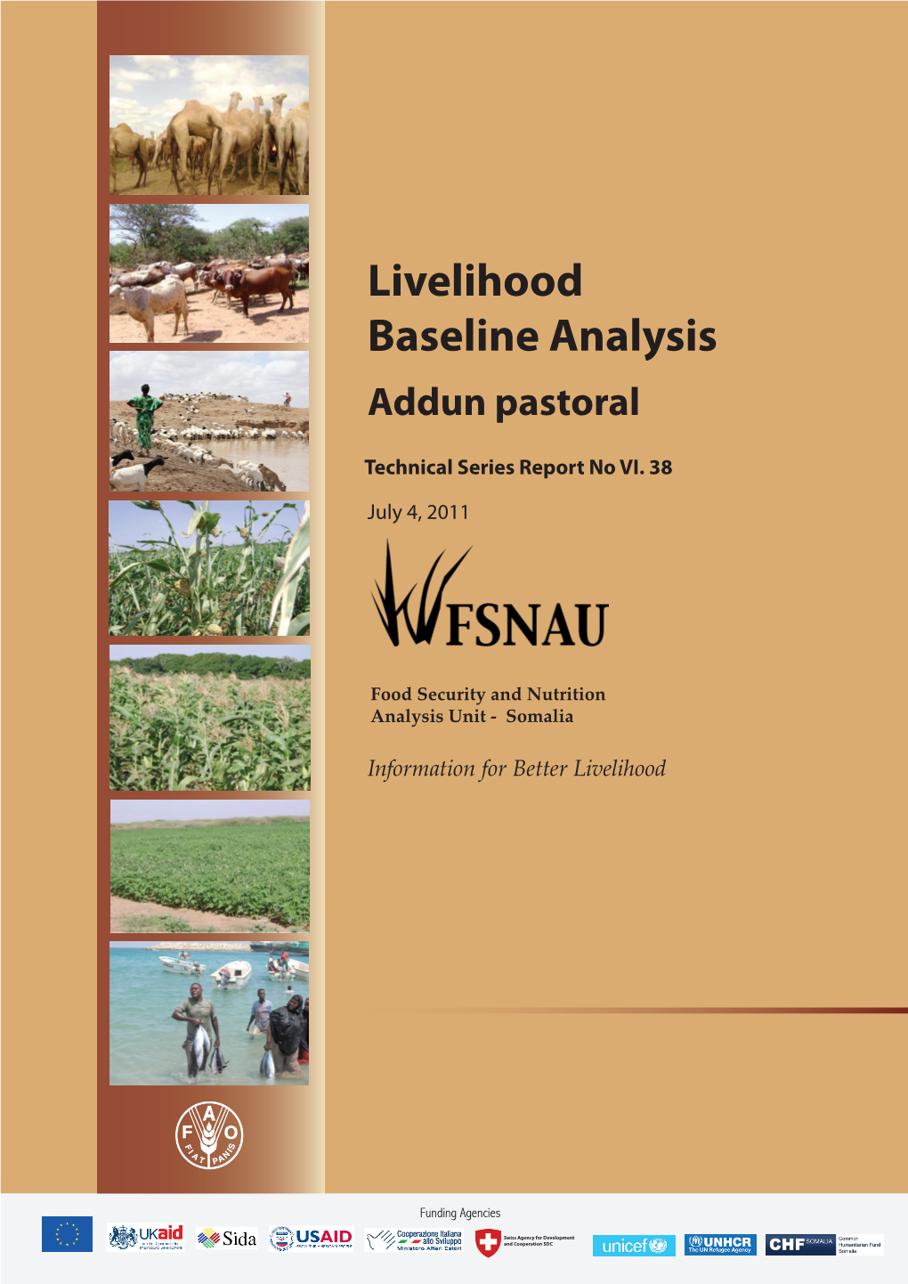 Livelihood Baseline Analysis Addun Pastoral