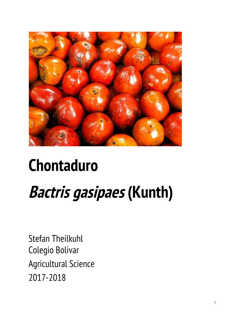 Bactris Gasipaes​ (Kunth)