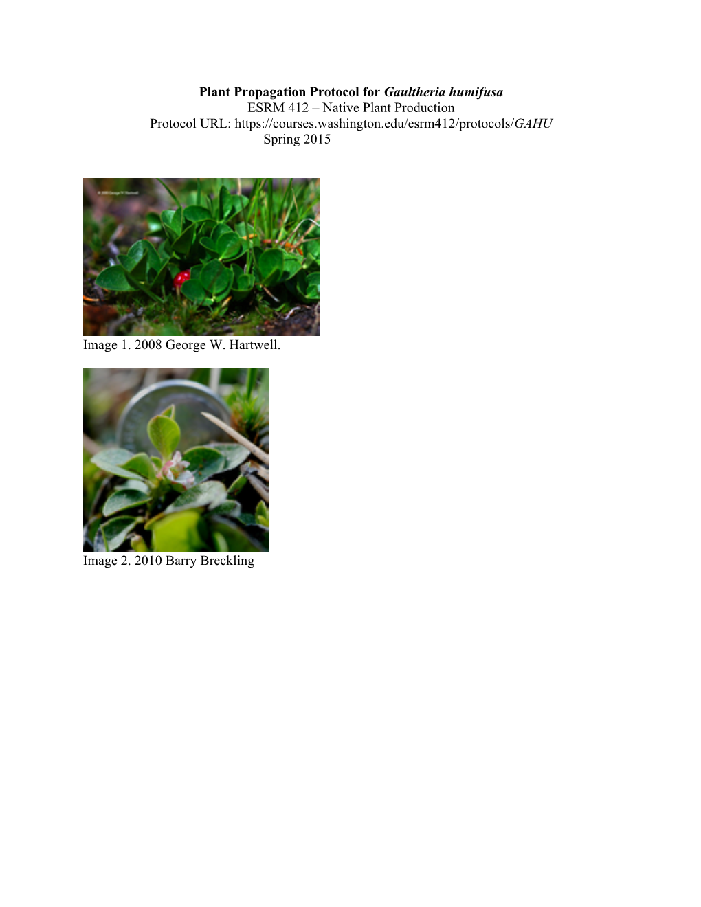 Plant Propagation Protocol for Gaultheria Humifusa ESRM 412 – Native Plant Production Protocol URL: Spring 2015