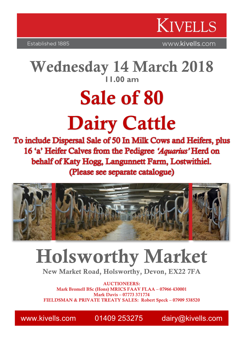 Sale of 80 Dairy Cattle Holsworthy Market