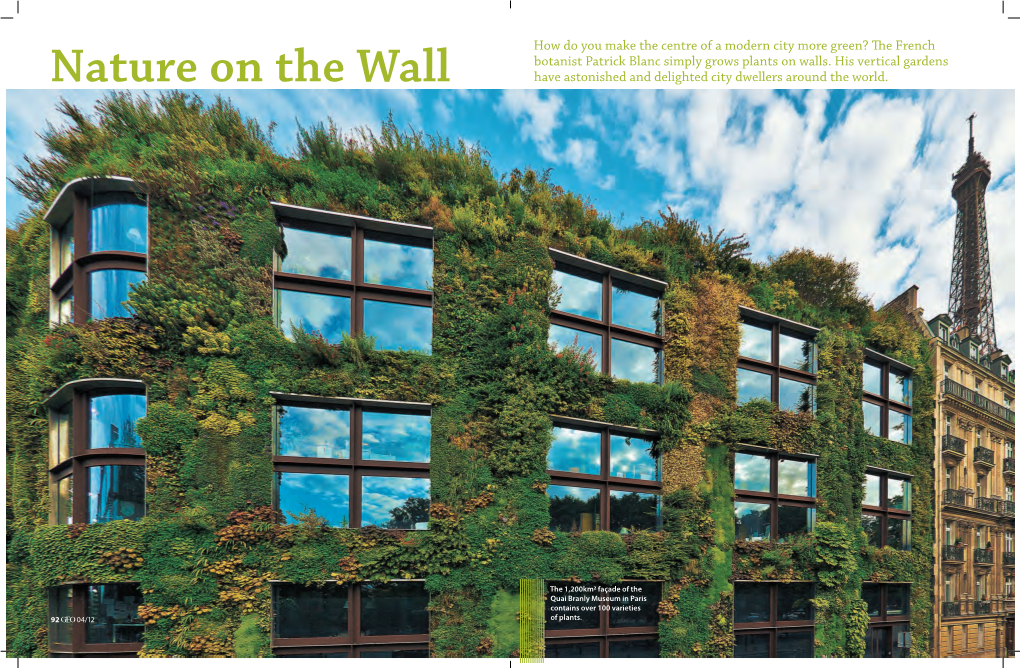 Nature on the Wall Have Astonished and Delighted City Dwellers Around the World