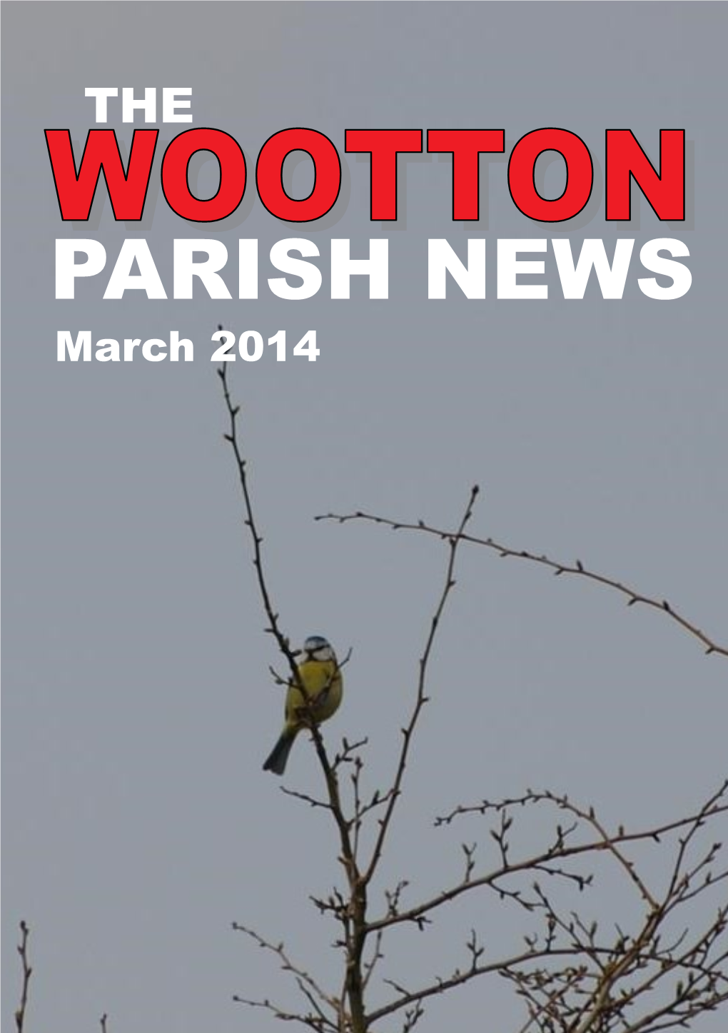 PARISH NEWS March 2014