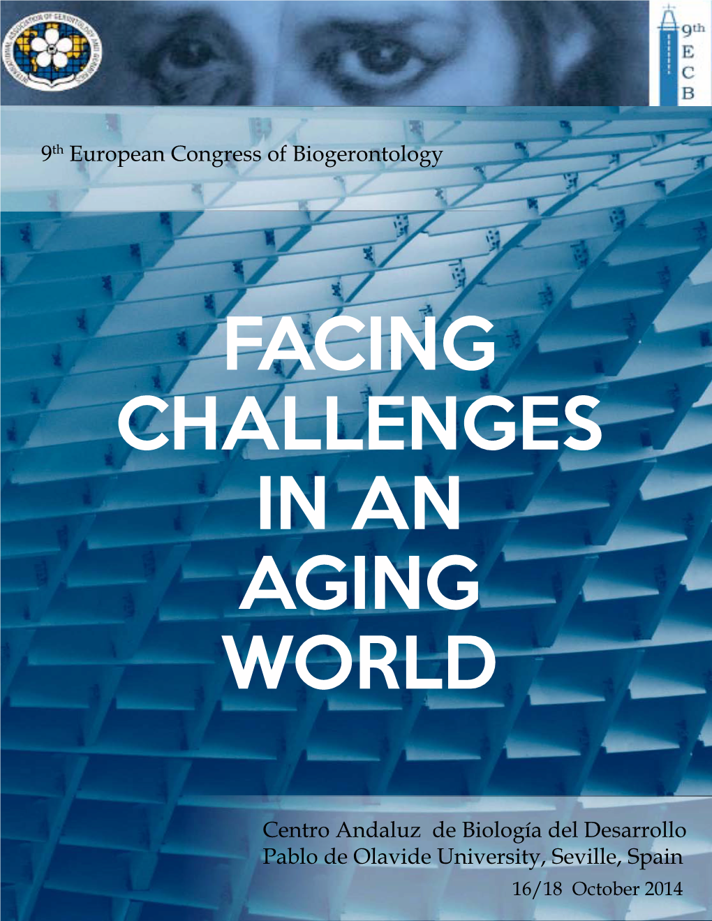 Facing Challenges in an Ageing World