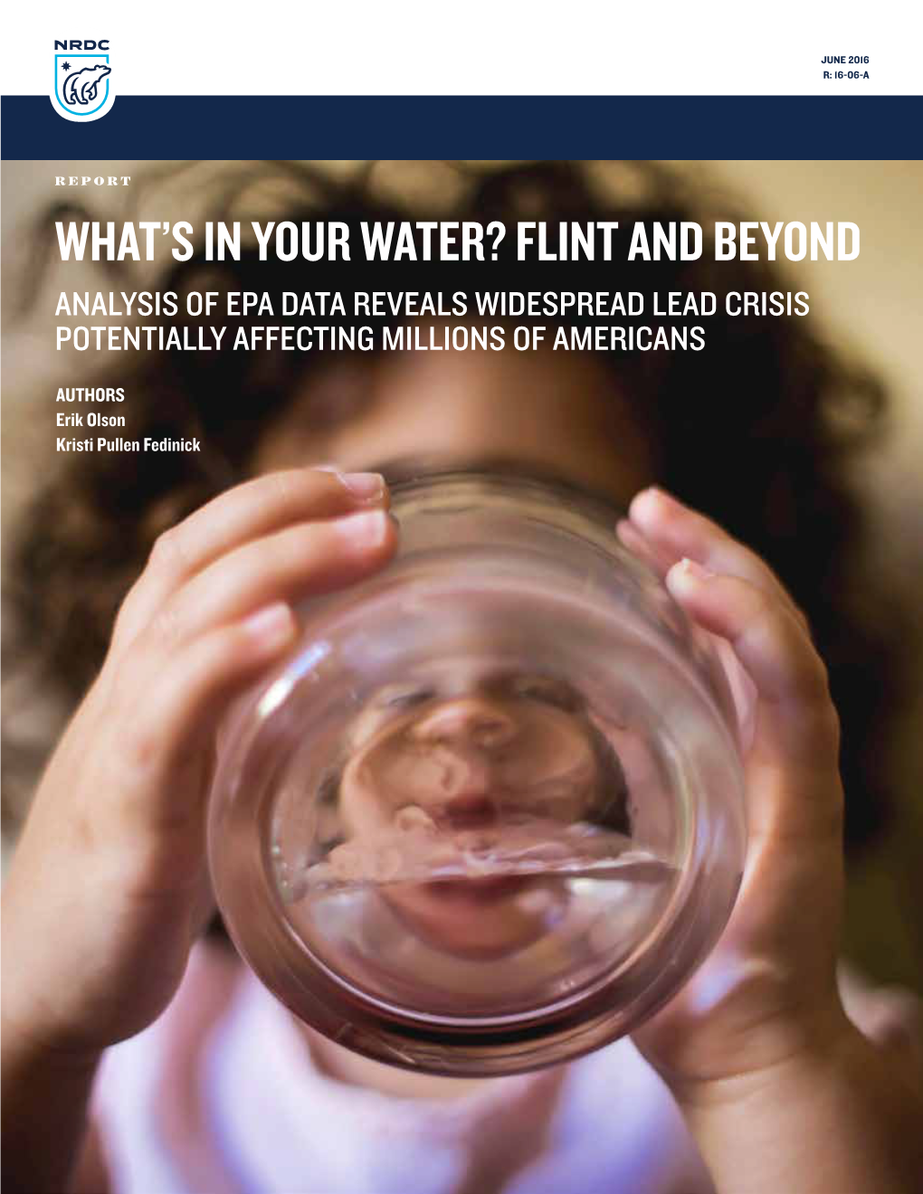 What's in Your Water? Flint and Beyond