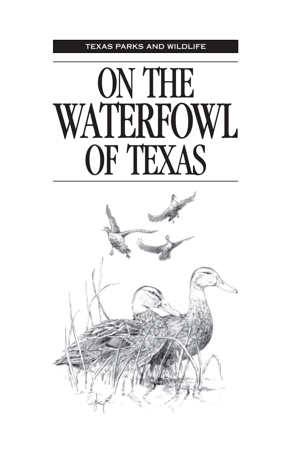 On the Waterfowl of Texas