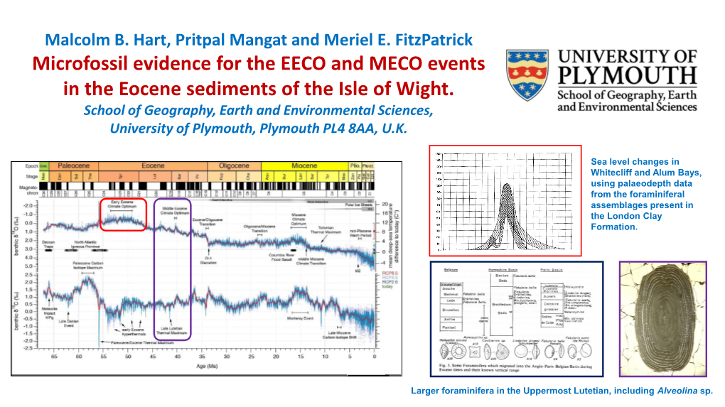 Microfossil Evidence for the EECO and MECO Events in the Eocene Sediments of the Isle of Wight