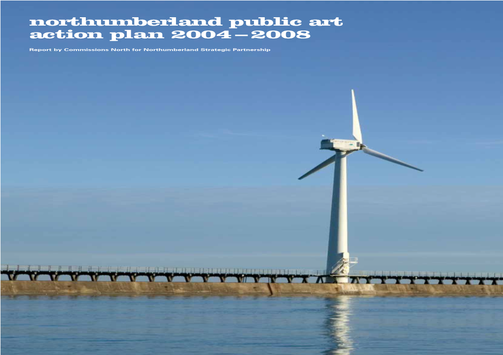 Northumberland Public Art Action Plan 2004 – 2008