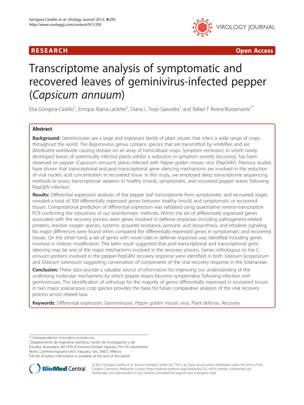 Transcriptome Analysis of Symptomatic and Recovered Leaves