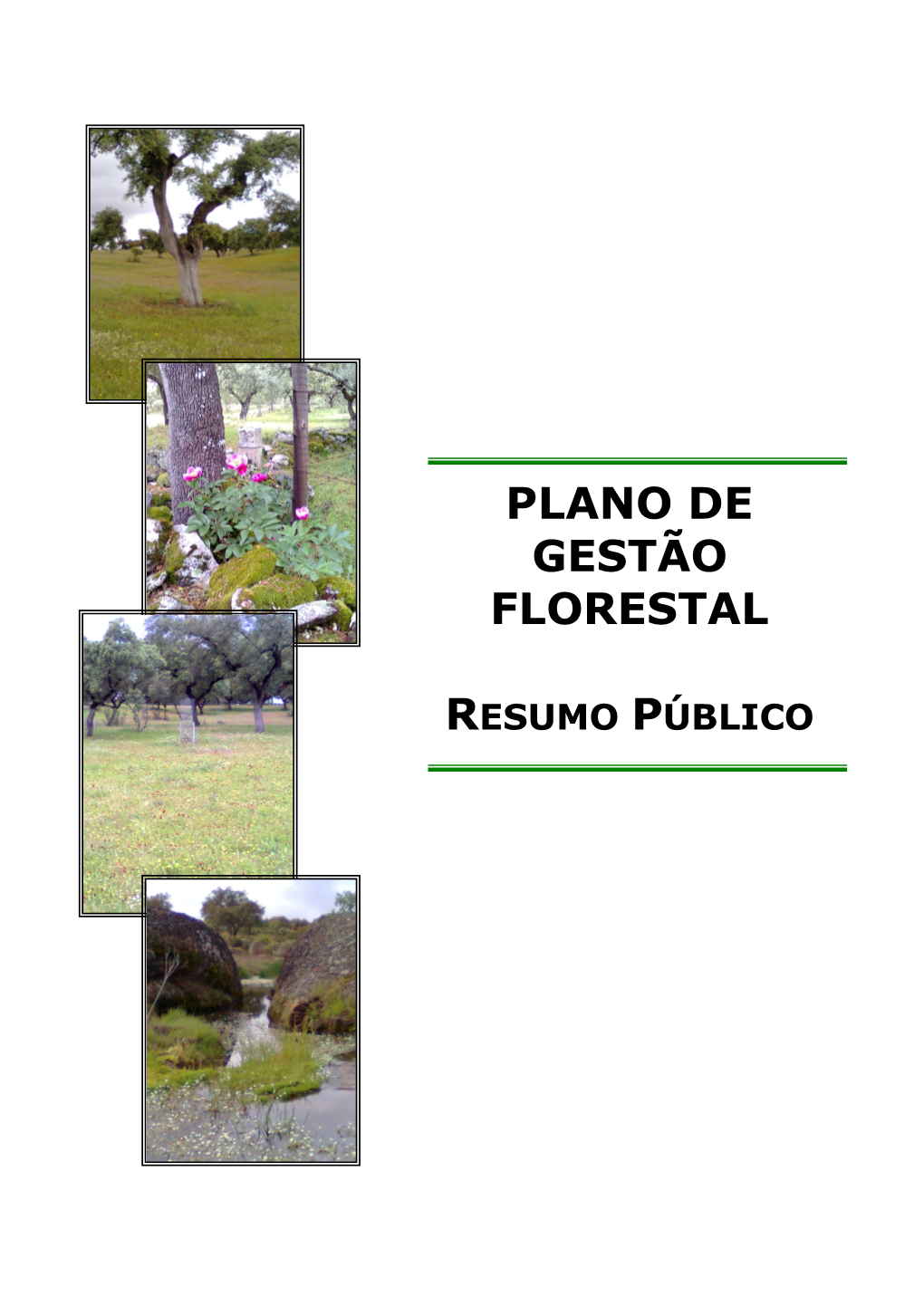 Plano De Gestão Florestal Do Grupo Edição: 01