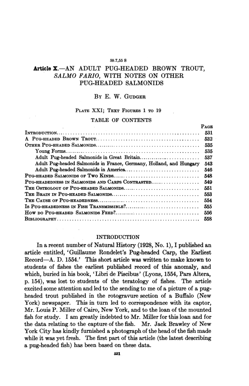 Article X.-AN ADULT PUG-HEADED BROWN TROUT, SALMO FARIO, with NOTES on OTHER PUG-HEADED SALMONIDS by E