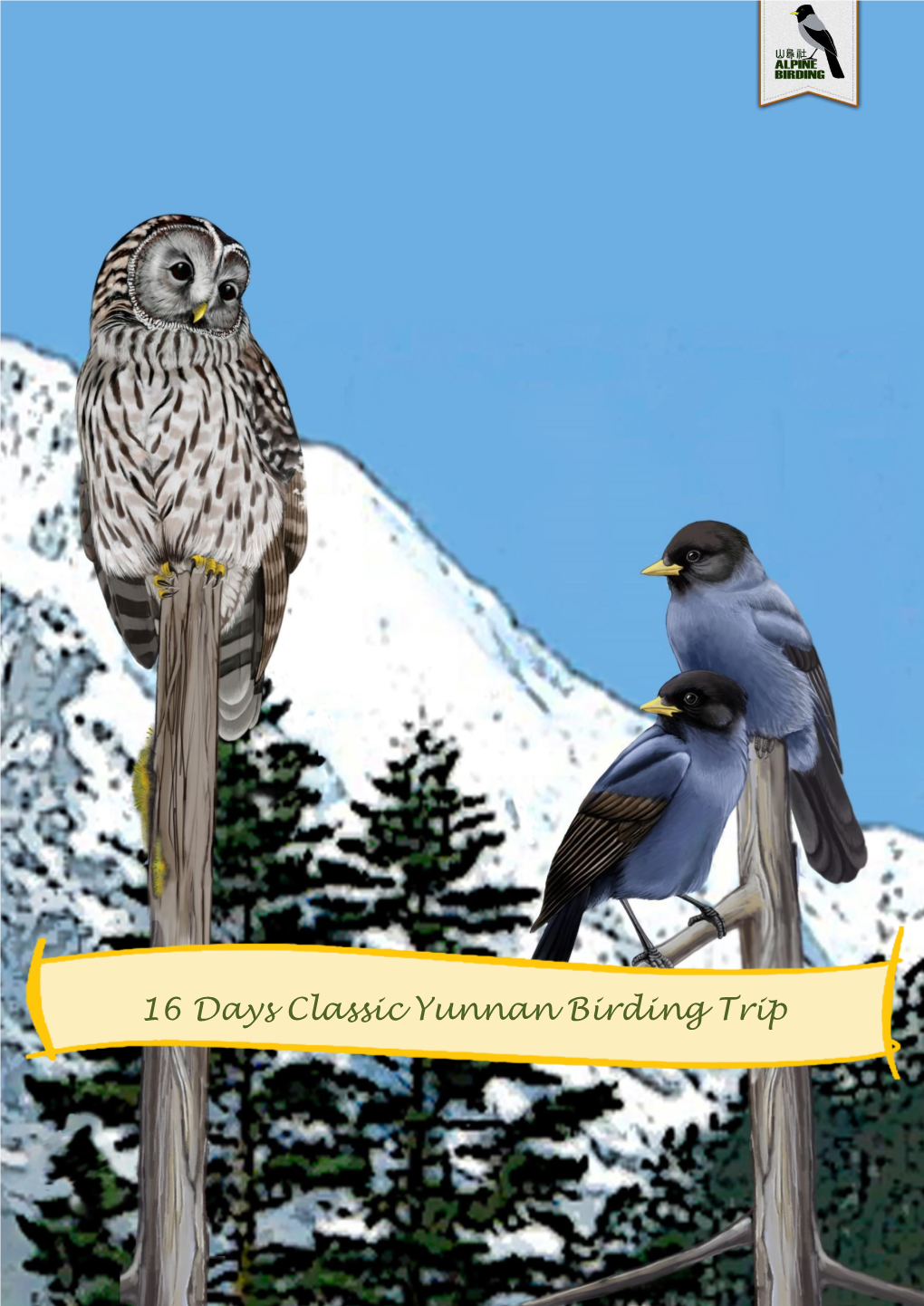 16 Days Classic Yunnan Birding Trip