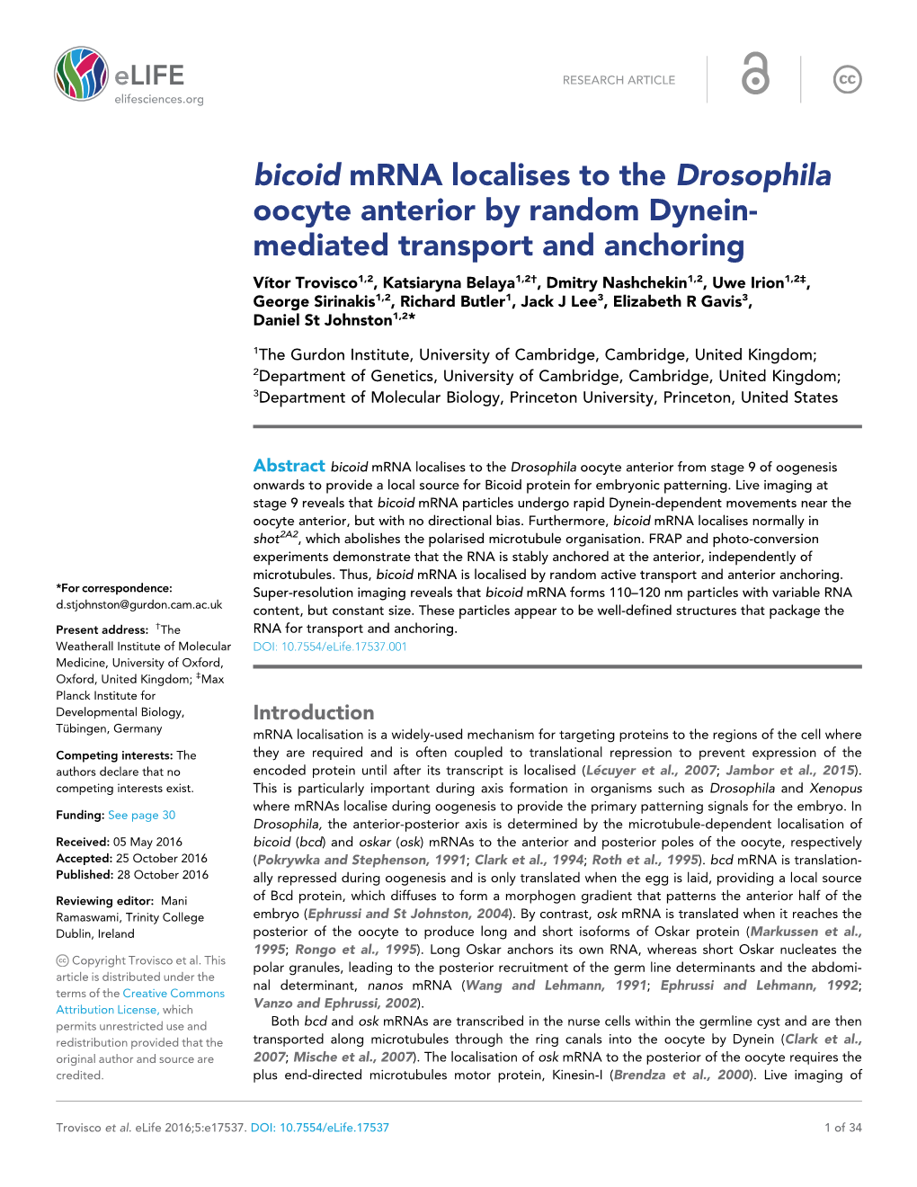 Bicoid Mrna Localises to the Drosophila Oocyte Anterior