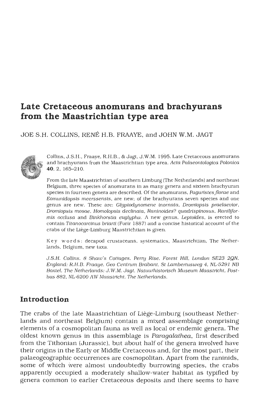 Late Cretaceous Anomurans and Brachyurans from the Maastrichtian Type Area