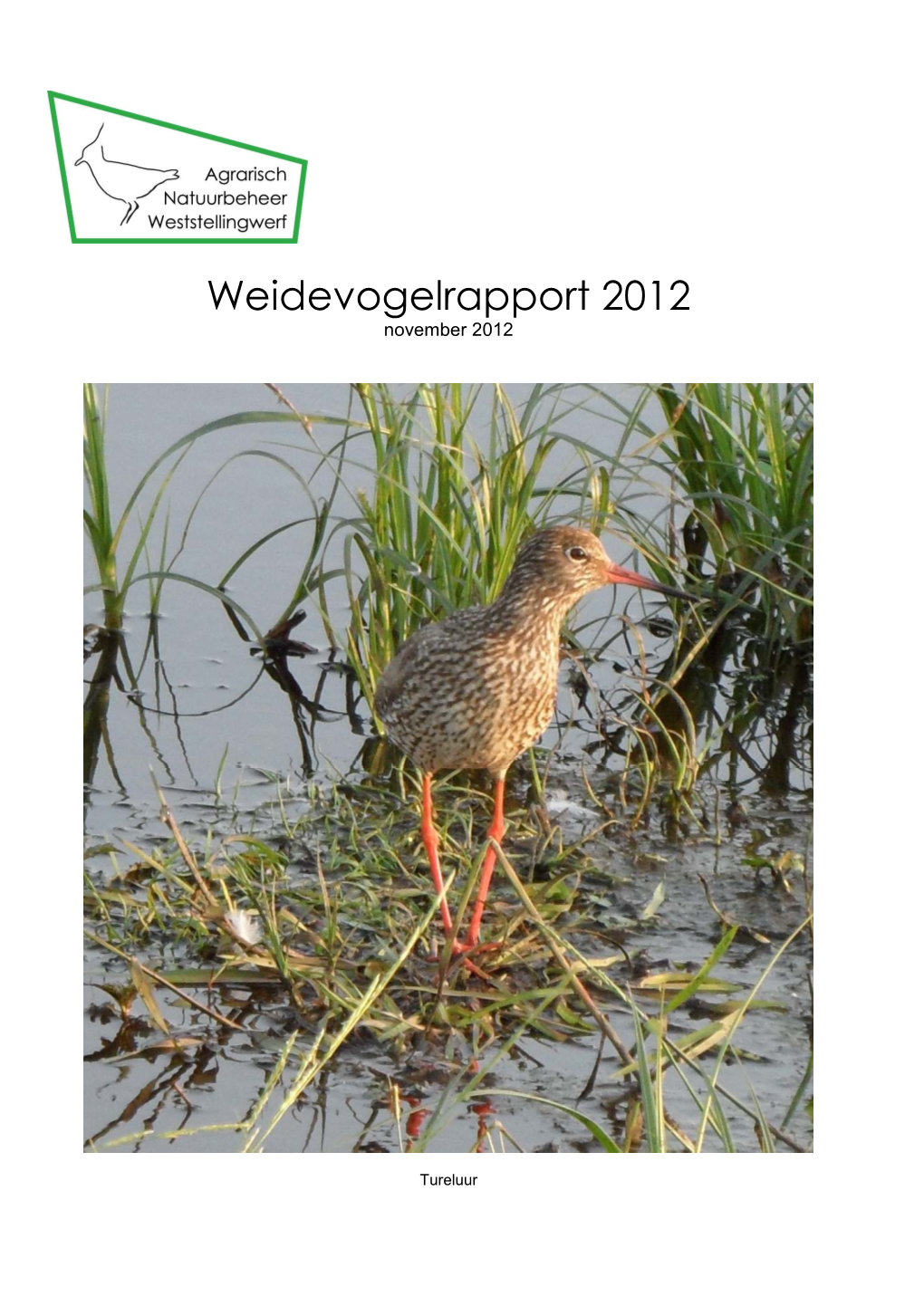 Weidevogelrapport 2012 November 2012