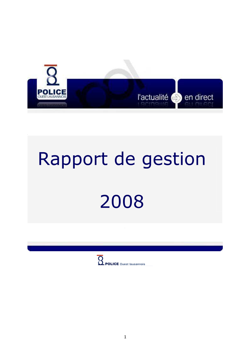 Rapport De Gestion 2008