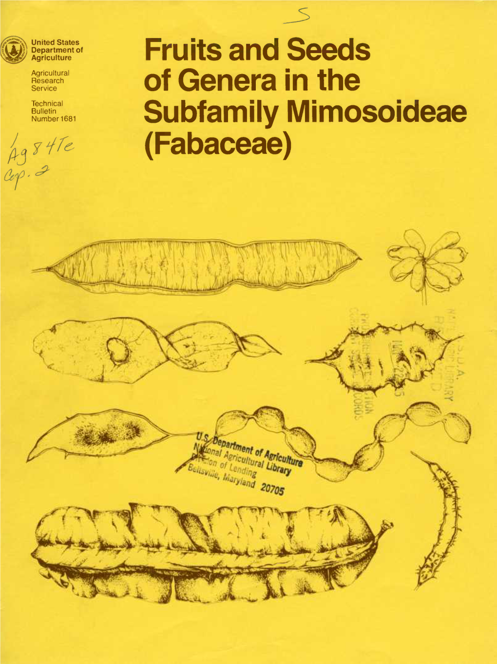 Fruits and Seeds of Genera in the Subfamily Iviimosoideae (Fabaceae) by Charles R