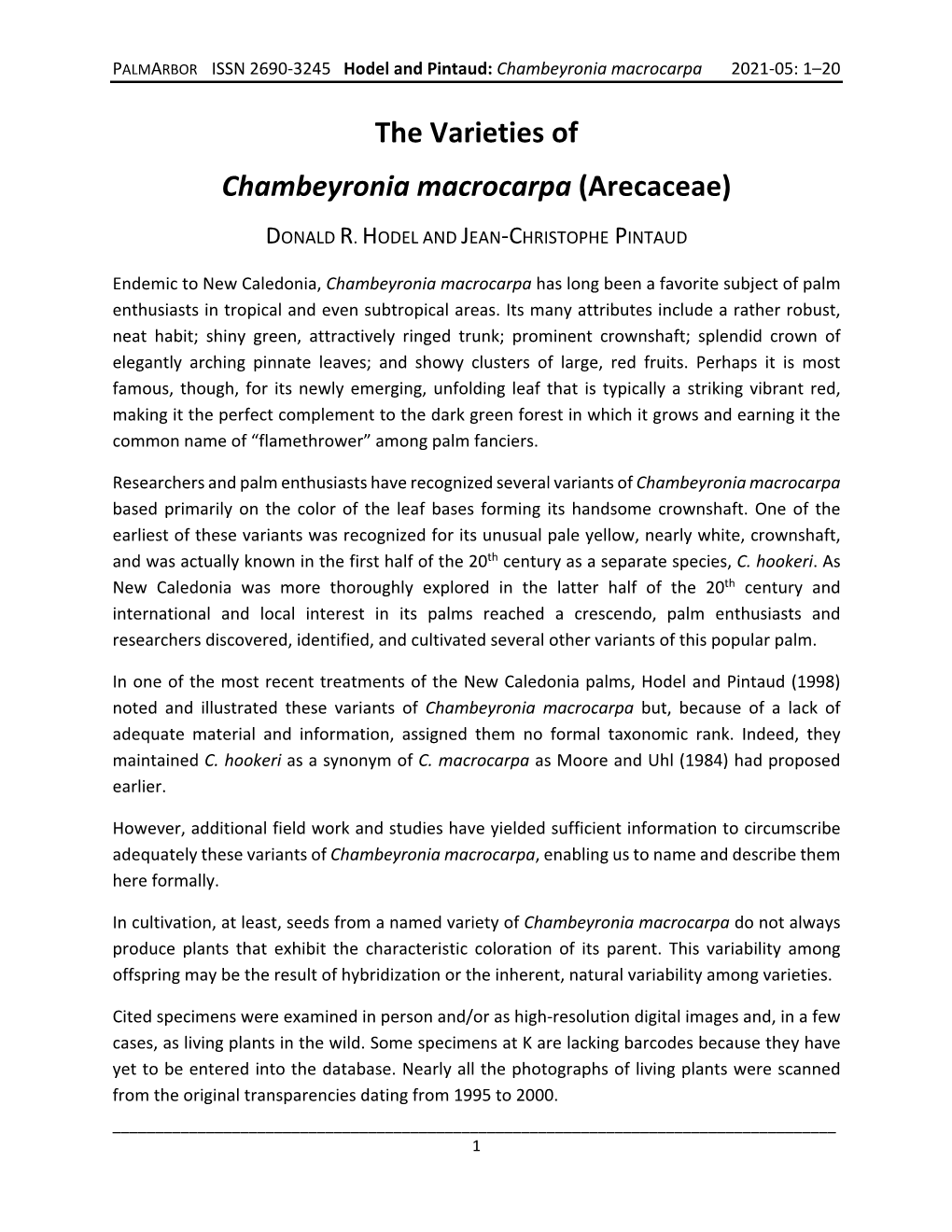 The Varieties of Chambeyronia Macrocarpa (Arecaceae)