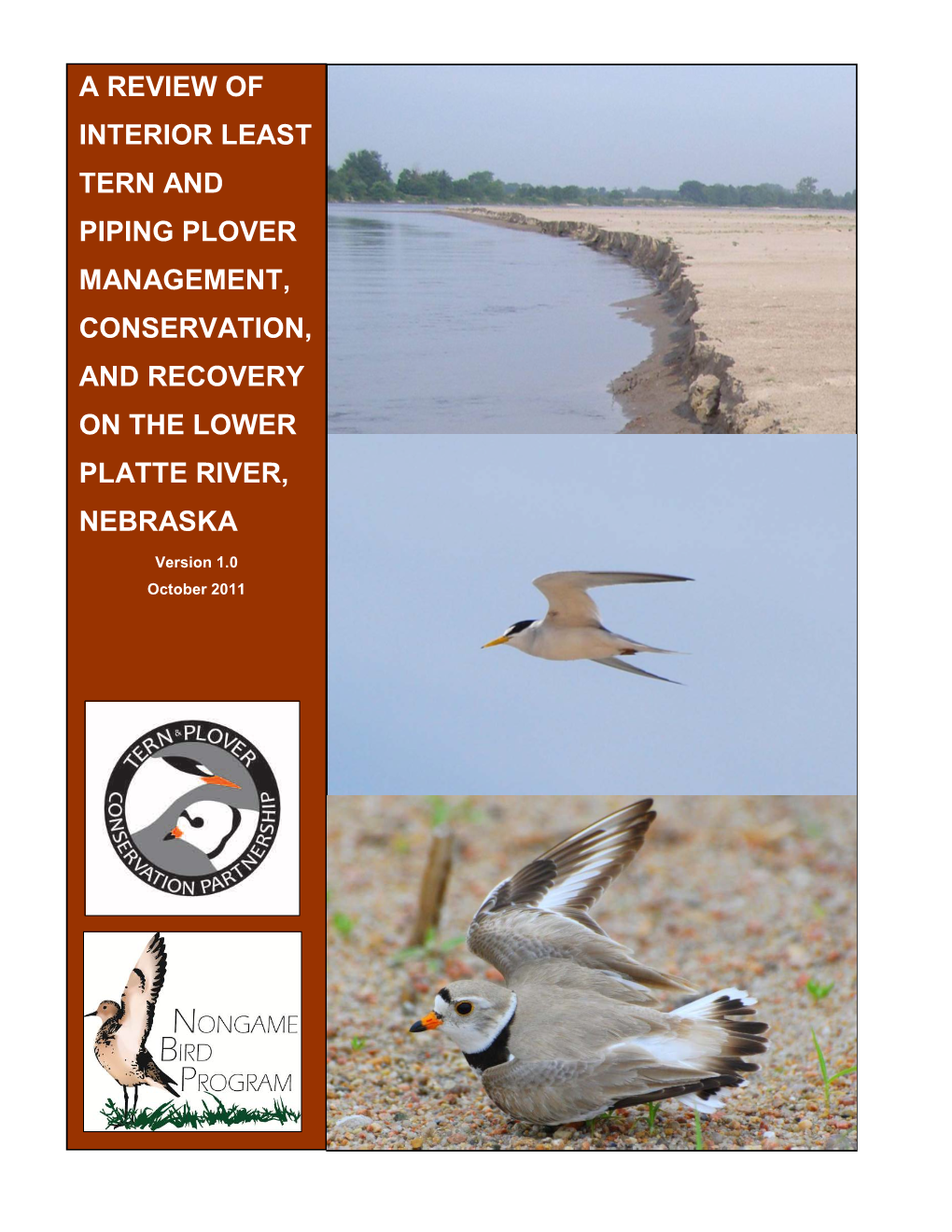 Interior Least Tern and Piping Plover Policy Review