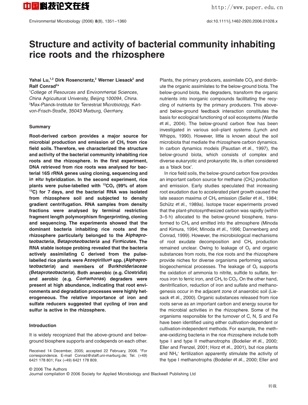 Structure and Activity of Bacterial Community Inhabiting Rice Roots and the Rhizosphere